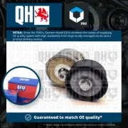 Aux Belt Tensioner fits FIAT BRAVO Mk2 198AXN 2.0D 08 to 09 198A5.000 Drive QH