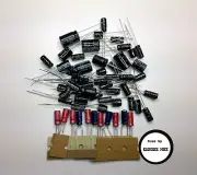 Realistic HTX-100 electrolytic capacitor kit