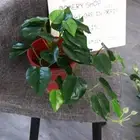 Decor Party Decoration Green Plant Fake Plant Turtle Leaves Simulation Plants