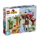 LEGO樂高 10974 亞洲野生動物 ToysRUs玩具反斗城