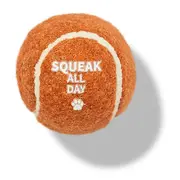 All Day Squeak All Day Fetch Ball Dog Toy Brown