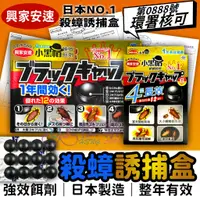 在飛比找蝦皮購物優惠-12入/6入 興家安速小黑帽蟑螂餌劑盒 日本製【恆樂居家】原