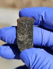 Meteorite**NWA 16481, Martian Shergottite(olivine-bearing)**2.422 gram Gorgeous!