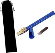 BESTonZON Pocket Sax Mini Portable Saxophone Blue Little Saxophone with Carrying Bag Woodwind Instrument for Travel Music Lovers and Beginners