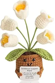 Aruigu Pocket Hug White Lily of The Valley - Positive Potato Potato Series Crochet Lucky Charm Get Well Soon Gifts Exam Certificate Birthday Gift Friends Colleague