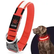 Light Up Dog Collar for Small Dog, USB Rechargeable LED Dog Collar Glowing in...