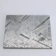 300g Muonionalusta meteorite slice R1933
