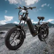 KRISTALL V20 20" Mountain eBike 48V 18AH Electric Bicycle High Power e-Bike AU