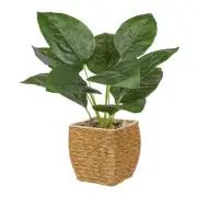 Fake Plants Potted Fern Artificial Plants Indoor Realistic Greenery Faux Plan...