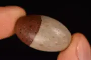 *SHIVA LINGAM* 2.7cm 10.9g Lingham Egg Healing Crystal Gift Fertility Vitality