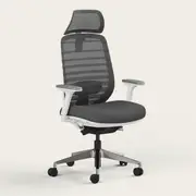 Recess Ergo Pro 2.0 | Ergonomic Chair | Mesh Office Chair | Sustainable Office Furniture, Storm Cloud / Headrest