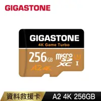 在飛比找momo購物網優惠-【GIGASTONE 立達】Game Turbo micro