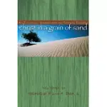 CHRIST IN A GRAIN OF SAND: AN ECOLOGICAL JOURNEY WITH THE SPIRITUAL EXERCISES
