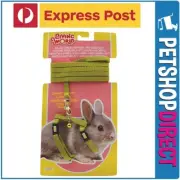 Living World Dwarf Rabbits Harness & Lead Set Green EXPRESS POST