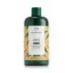 THE BODY SHOP 美體小鋪 薑根鏗活調理洗髮精 400ml