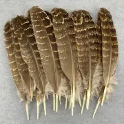 10-100 Pcs Precious Natural Pheasant Feathers 15-20 CM DIY Decoration For Crafts