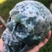 3.12 lb Natural water plant agate quartz carved crystal skull reiki healing