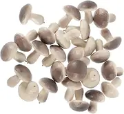 Totority 100pcs Micro Landscape Mushroom Decorations Miniature Mushroom Ornaments for DIY Craft Projects Garden Decor Adorable Foams for Fairy Gardens