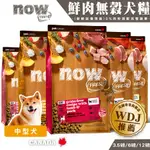 【喵吉】NOW 鮮肉無穀天然糧(一般顆粒) 3.5磅/12磅/22磅 成犬飼料 中大型犬飼料 幼犬飼料 狗飼料 高齡犬