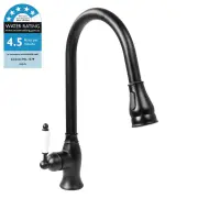 Loma Kitchen Tap Mixer, Matte Black