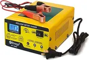 Intelligente Pulse Trickle Charger of Lead Acid Battery 1A-15A 6V/12V 250W Auto Stop Charging Function with Bar LED Screen for Car Motorcycle