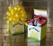 Get Well Soon Fruit By The Foot Gift Basket-Box With Yellow Bow
