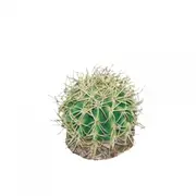 Eco Tech Pineapple Cactus Ornament 10cm (ECT73)