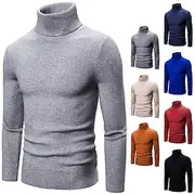Men's Turtleneck Sweater Pullover Sweater Jumper Cropped Sweater Ribbed Knit Regular Tops Knit Plain Turtleneck Modern Contemporary Work Daily Wear Clothing Ap