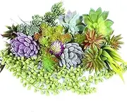 Artificial Succulent Plants, 16 Pcs Set Faux Succulents Unpotted Small Green String of Pearls Fake Succulent Plants, Premium Crafting DIY Floral Decor for Home Garden Office Party