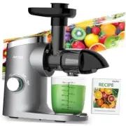 Slow Masticating Juicer, Cold Press Jucier Machines, with household Grey