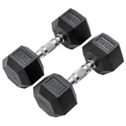 METEOR 10kg Pair Rubber Hex Dumbbells