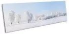 Winter Snow White Landscape Framed PANORAMA CANVAS PRINT Wall Art