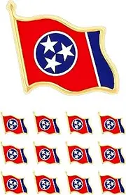[CINFAC] 12/25/50pcs small Tennessee state Flag lapel pin Tennessee flag pins badge bulk