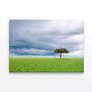 Tree Green Grassland in Savanna Print 100% Australian Made 120 x 90cm (Stretched)