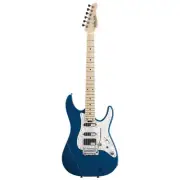 SCHECTER BH-1-STD-24 DBL/M Electric Guitar