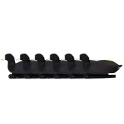 Avian X Top Flight Coot with Ultra Realistic Paint Scheme for Hunting, 6 Pack