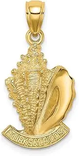 [JewelryWeb] 14ct Gold Turks and Caicos Under Conch Shell 2 d Charm Pendant Necklace 31.6x13.5mm Wide 4.95mm Thick