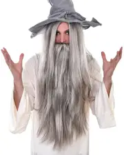 Long Wizard GREY Beard Grey Costume Wig