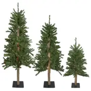 Northlight Set of 3 Alpine Artificial Christmas Trees 3' 4' and 5' Multi Lights