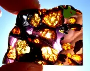 8.93 g - IMILAC PALLASITE METEORITE *THE BEST* The Most Beautiful & Translucent