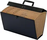 Pendaflex Globe-Weis/Globe Weis 19-Pocket File Express Case (11170) (Colors May Vary),Assorted Colors