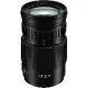 Panasonic LUMIX G VARIO 100-300mm F4.0-5.6 II 公司貨 送67mm UV鏡