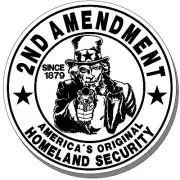 2nd AMENDMENT "ORIGINAL HOMELAND SECURITY" VINYL STICKERS - DECALS