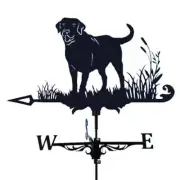 Labrador Dog Weather Vane for Roof Decoration Stylish Decorative Weathervane