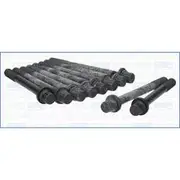 Austral Cylinder Head Bolt Set - 81037500