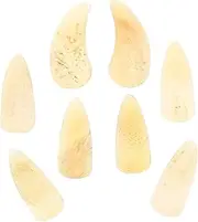 TEMPNAP Beginner's Guzheng Supplies 8pcs Finger Nails Manicure Protectors for Guzheng and Other String Instruments (light)