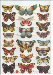 German Embossed SILVER GLITTER Scrap Die Cut - Bold Colored Butterfly EF7426G