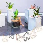 Stand for Air Plants Air Plant Stand Glass Terrarium Plant Propagation Station