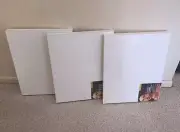 3 Amerpersand Gesso Art Painting Panels Canvas Texture 1.5 Inch Depth, 16" x 20"