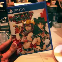 在飛比找蝦皮購物優惠-PS4 性感女劍士 日版